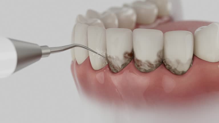 Reliable Dental contractor in Rock Hall, MD by Dentist Open Now